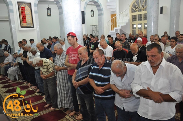 tarawee7 salah nozha (8).JPG